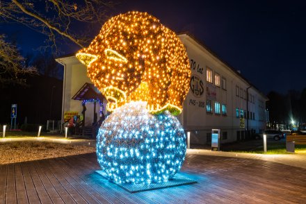 Rozświetlenie choinki na Placu Hoffa