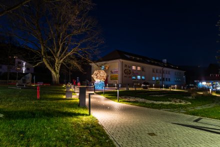 Rozświetlenie choinki na Placu Hoffa