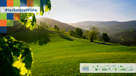 Zdjęcie z nakładką