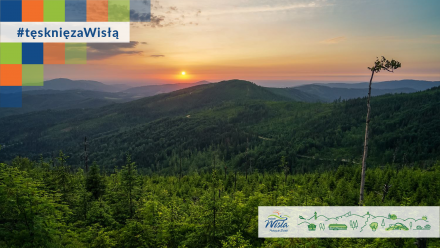 Zdjęcie z nakładką