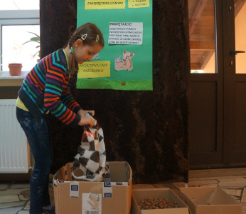 Wolontariat w SP5 - kasztany