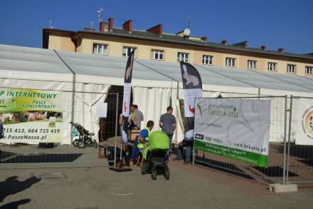Wejście na wystawę