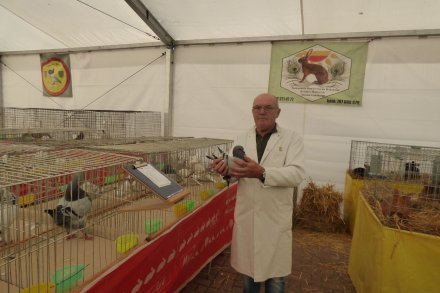 Ocena zwierząt przez jury