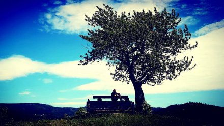 Bloger na Cieńkowie