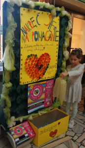 Wolontariat w SP5 - nakrętki