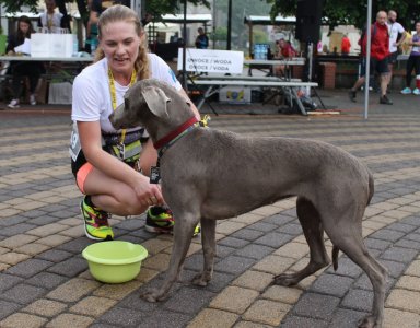 Woda dla pupila po trudnym biegu