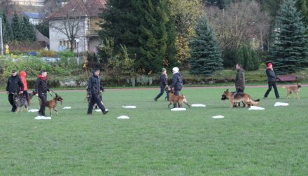 Ceremonia wręczenia nagród i pucharów