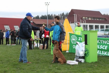 Ceremonia wręczenia nagród i pucharów