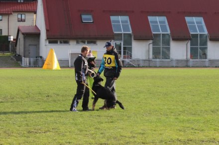 Fragment konkurencji dla zawodników i psów