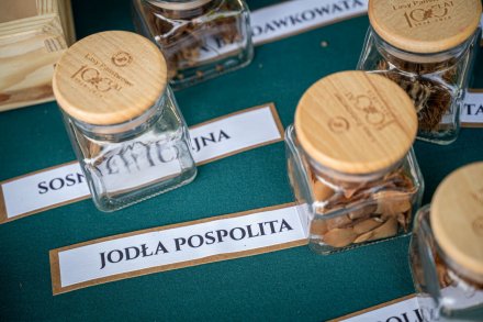 25. Piknik Leśny