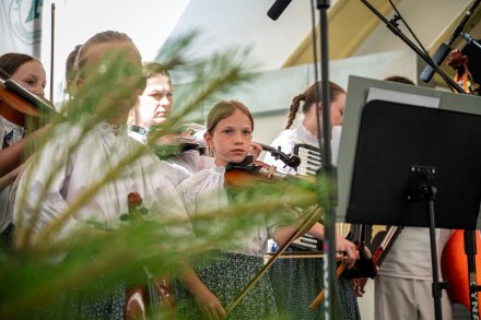 25. Piknik Leśny