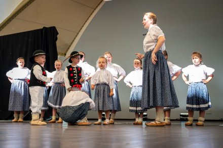 25. Piknik Leśny