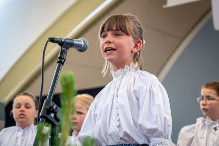 25. Piknik Leśny