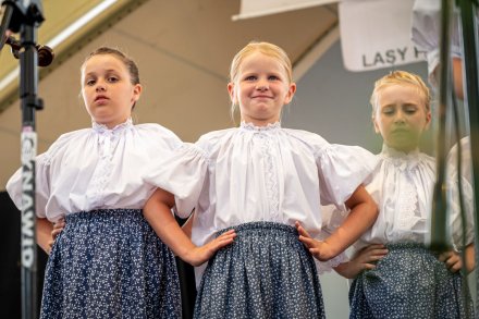 25. Piknik Leśny