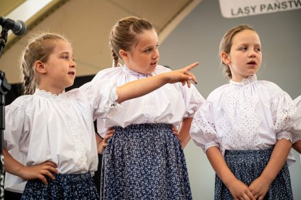 25. Piknik Leśny