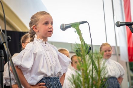 25. Piknik Leśny