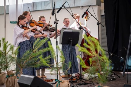 25. Piknik Leśny