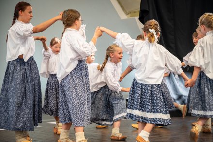 25. Piknik Leśny