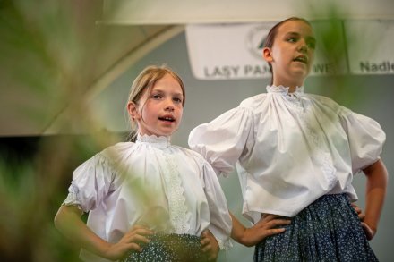 25. Piknik Leśny