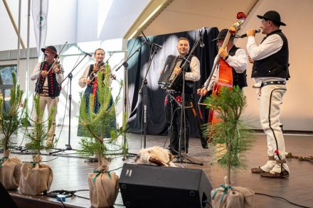 25. Piknik Leśny