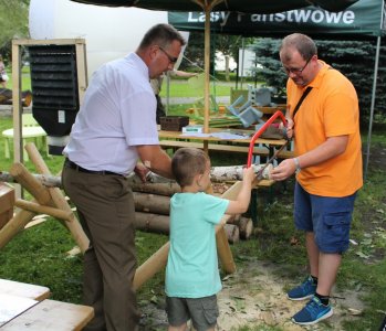 Na stoiskach można było spróbować się w cięciu drzewa