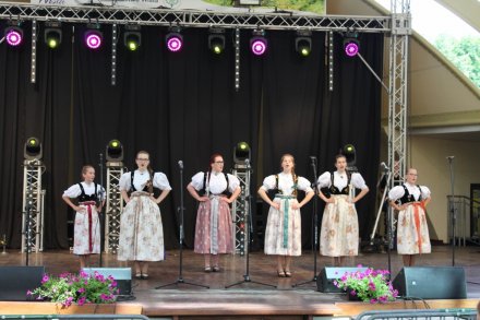 Fragment koncertu zespołu "Wisła"