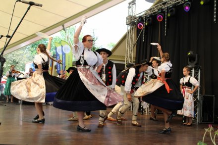 Fragment koncertu zespołu "Wisła"