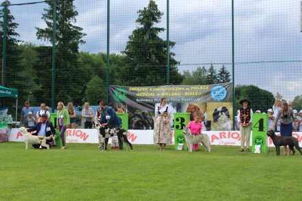 Najlepsi byli nagradzani pucharami