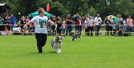 Prezentacja konkursowa na ringu