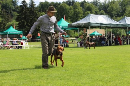 Prezentacja konkursowa