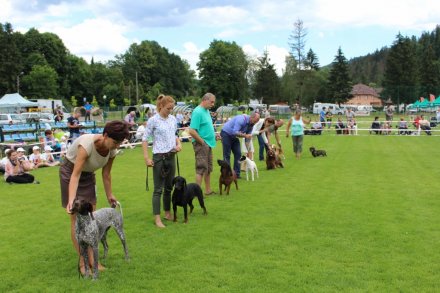 Prezentacja zwierząt podczas konkursu