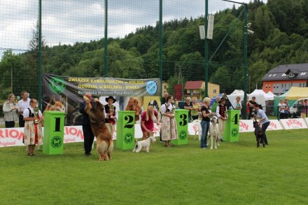 Najlepsi w swojej kategorii