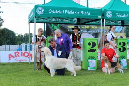 Najlepsi w swojej kategori