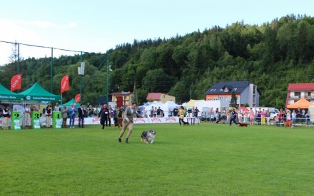 Prezentacja konkursowa