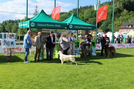 Najlepsi w swojej kategori