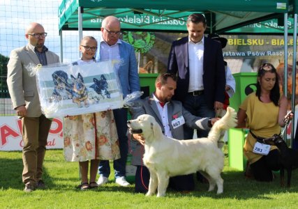 Najlepsi w swojej kategori