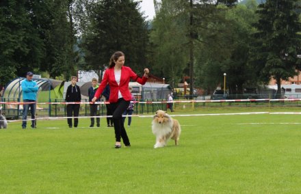 Prezentacja konkursowa pełna dynamiki