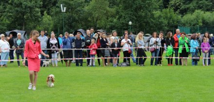 Prezentacje konkursowe cieszyły się dużym zainteresowaniem widzów