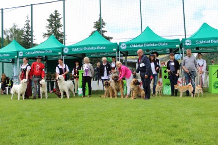 Najlepsi w swojej kategori