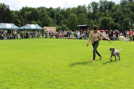 Prezentacja konkursowa