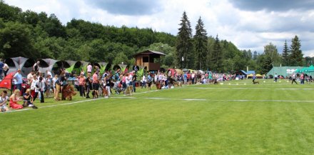 Liczba prezentowanych czwaronogów była imponująca