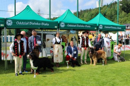 Najlepsi w swojej kategori