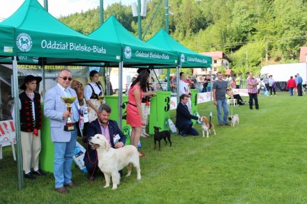 Najlepsi w swojej kategori