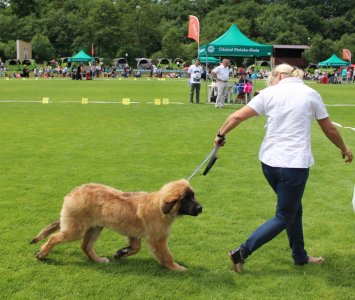 Prezentacja konkursowa