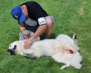 Zabawa z czworonożnym przyjacielem