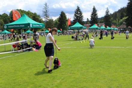 Prezentacje konkursowe