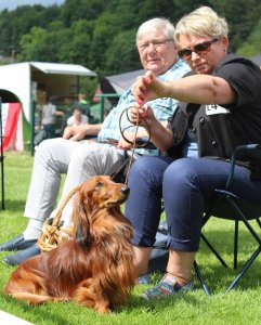 Właściciele z psem przed prezentacją