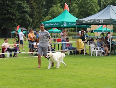 Prezentacja konkursowa