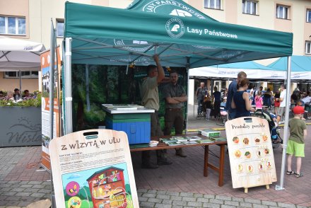 Święto miodu, chleba i zielin