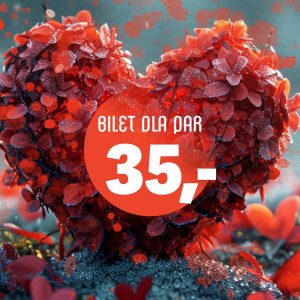 Grafika5